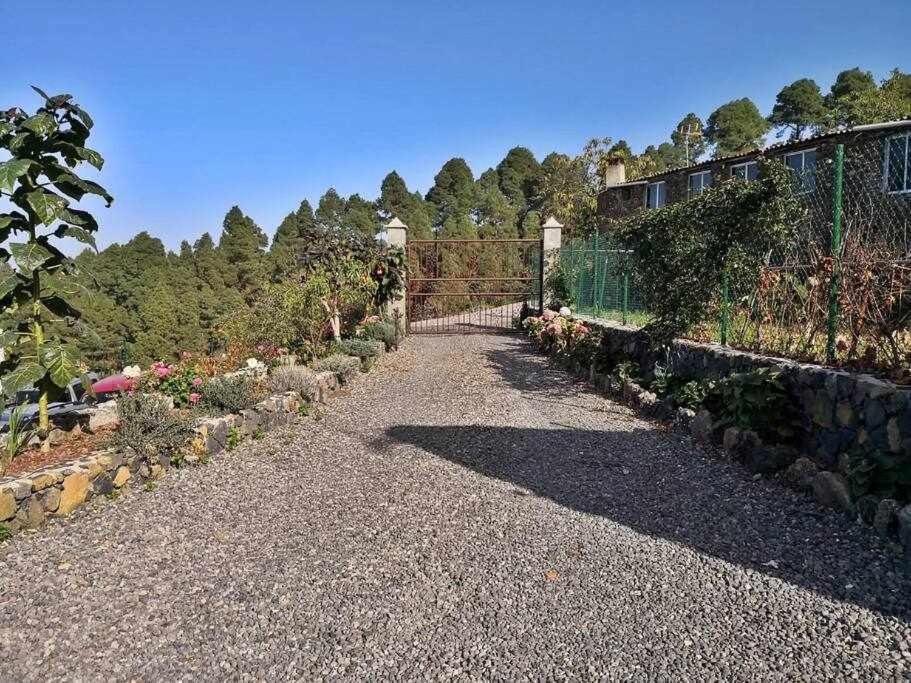 Finca Los Tamarillos Santa Cruz de Tenerife Buitenkant foto